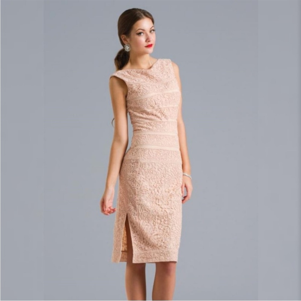 Tadashi Shoji Elegant Lace Sleeveless Dress - Pink Blush Size 10
